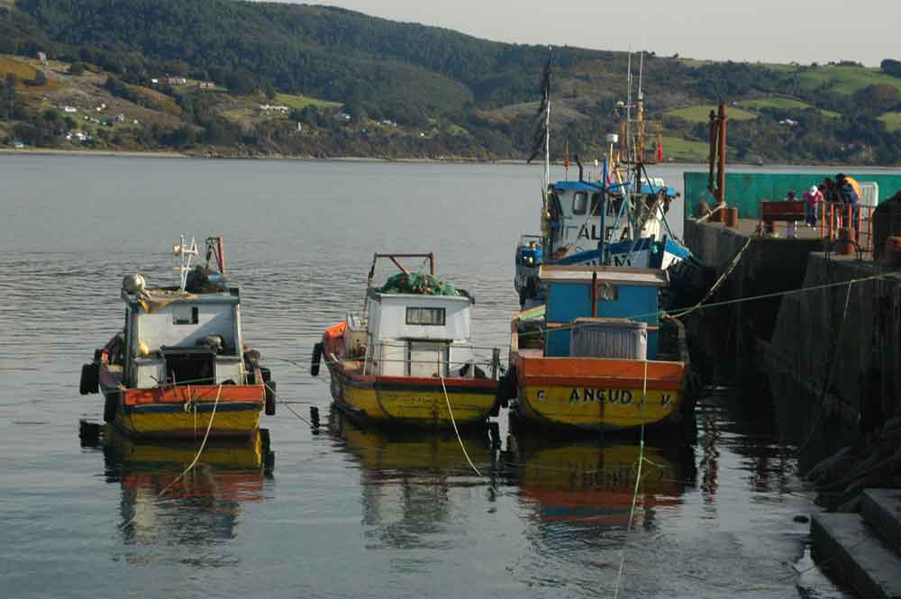 53 - Chile - isla de Chiloe, Ancud, puerto
